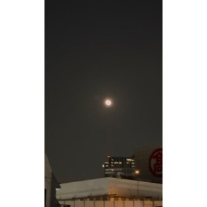 I161177372